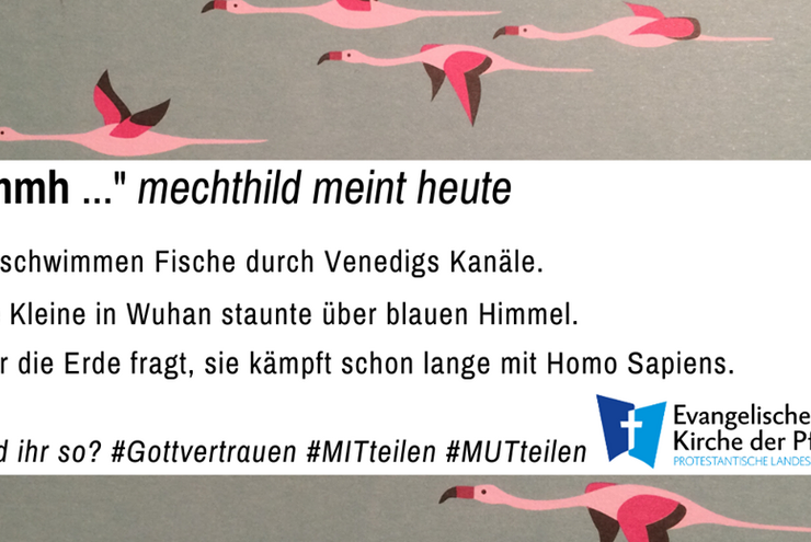 mmh mechthild meint heute #Tag15