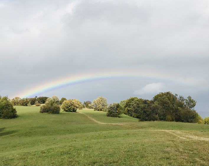 Der Regenbogen als Gottes Zeichen zur Bewahrung der Schöpfung. Foto: Sibylle Wiesemann