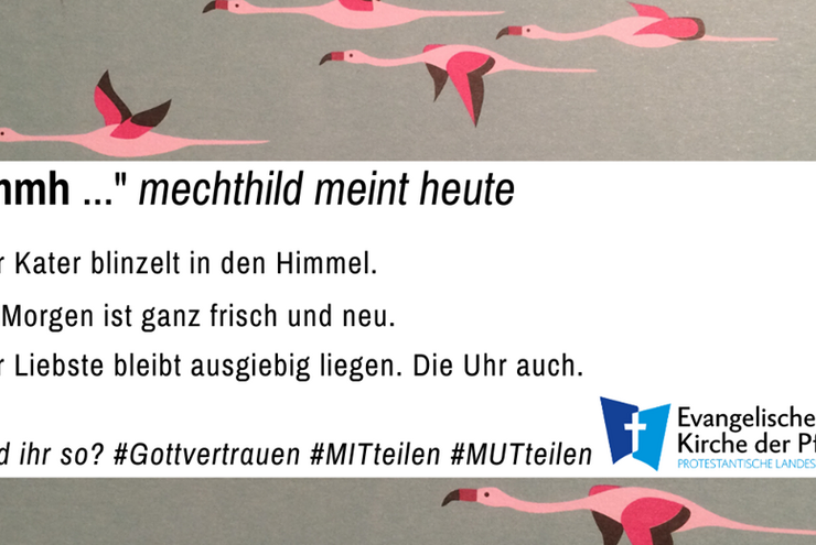 mmh mechthild meint heute #Tag12