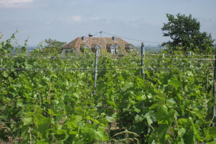 Von der Umgebung des Künstlerhauses in Edenkoben ließ sich der Lyriker und Essayist zu zahreichen Gedichten inspirieren. Foto: Oberländer