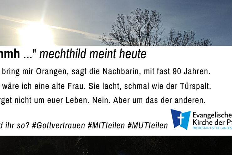 mmh mechthild meint heute #tag4