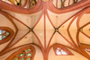 Noch sind sie größtenteils unter mehreren Tüncheschichten verborgen: In der Neustadter Stiftskirche werden weitere Deckenmalereien freigelegt. Foto: Armin Huck