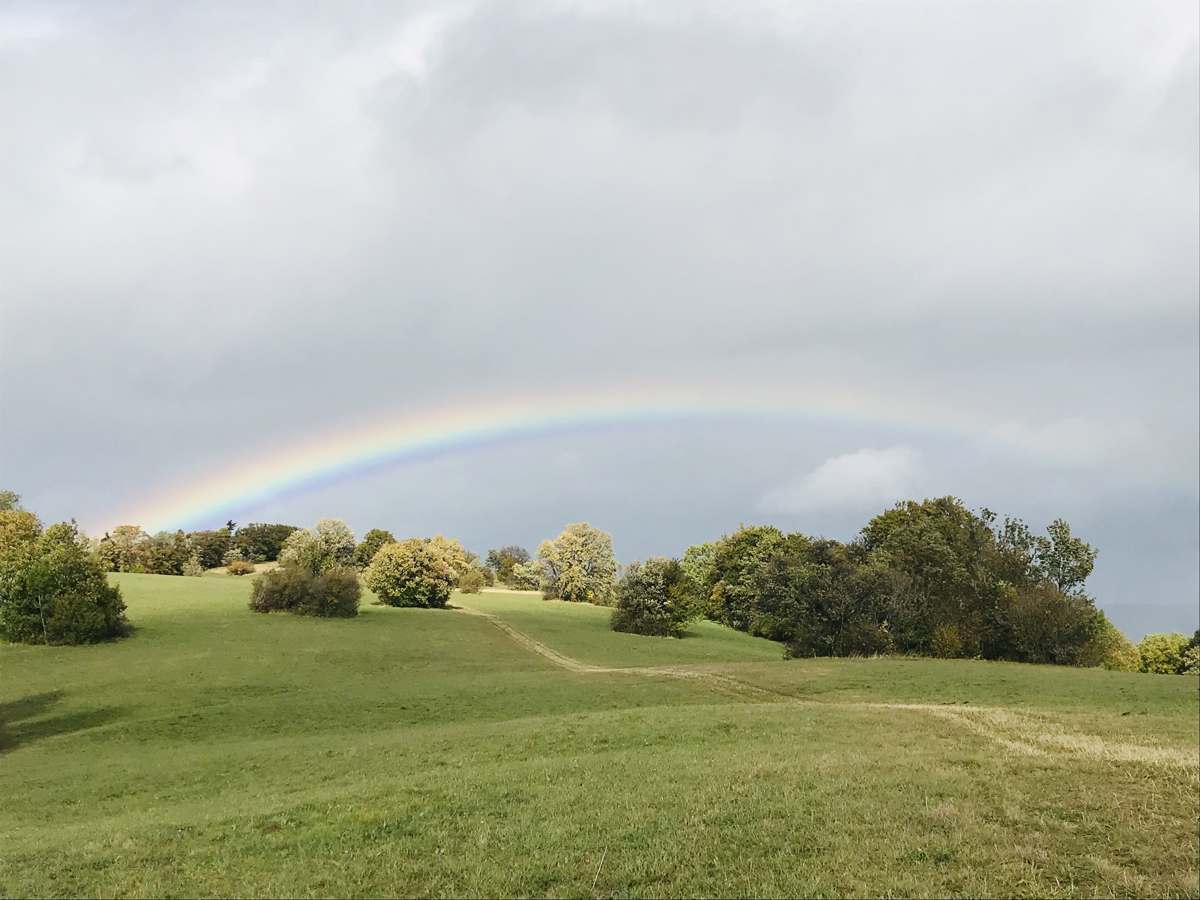 Der Regenbogen als Gottes Zeichen zur Bewahrung der Schöpfung. Foto: Sibylle Wiesemann
