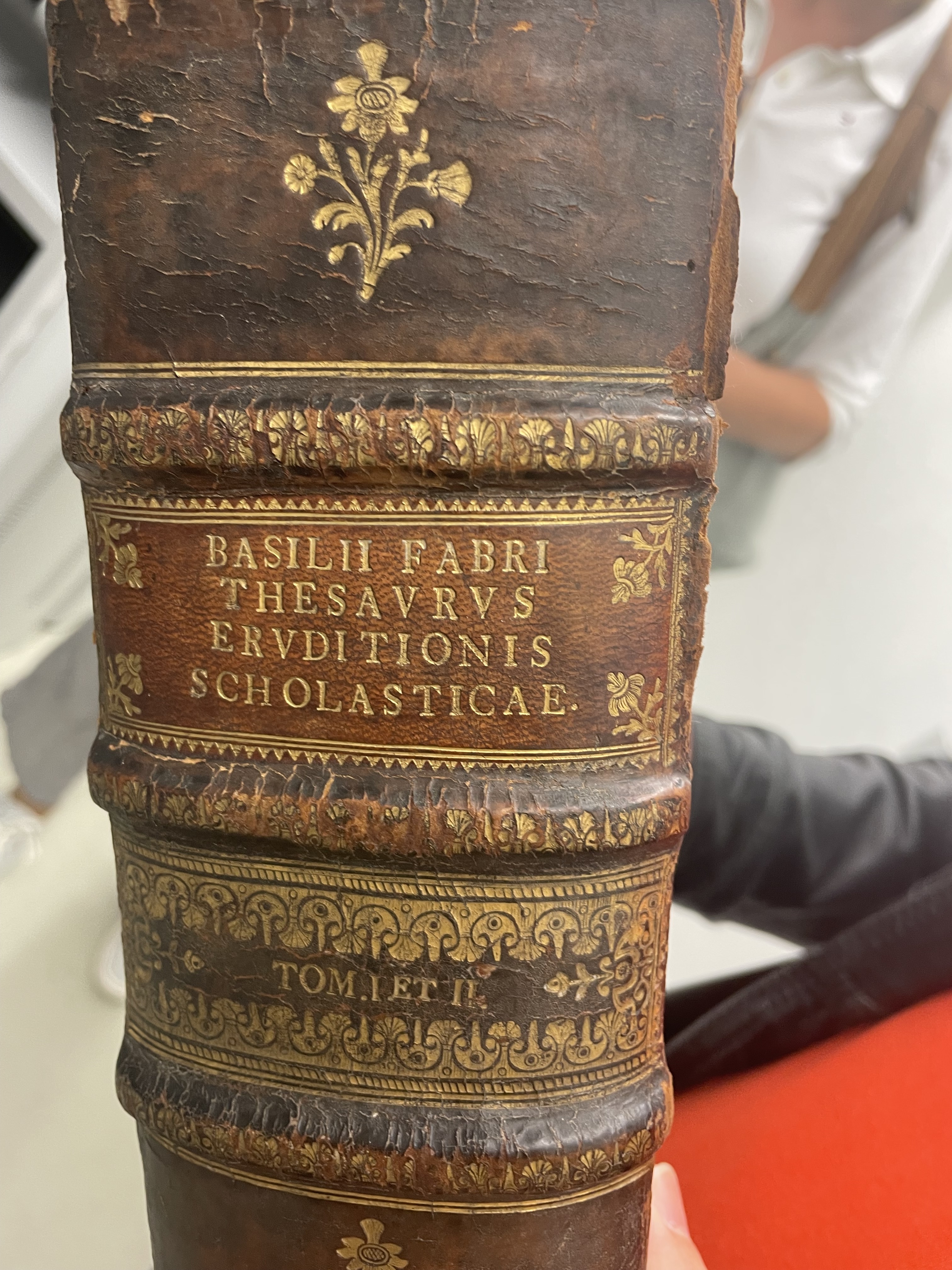 Der neue Schatz: ein altes Geschichtsbuch der Reformation (Foto: mw)