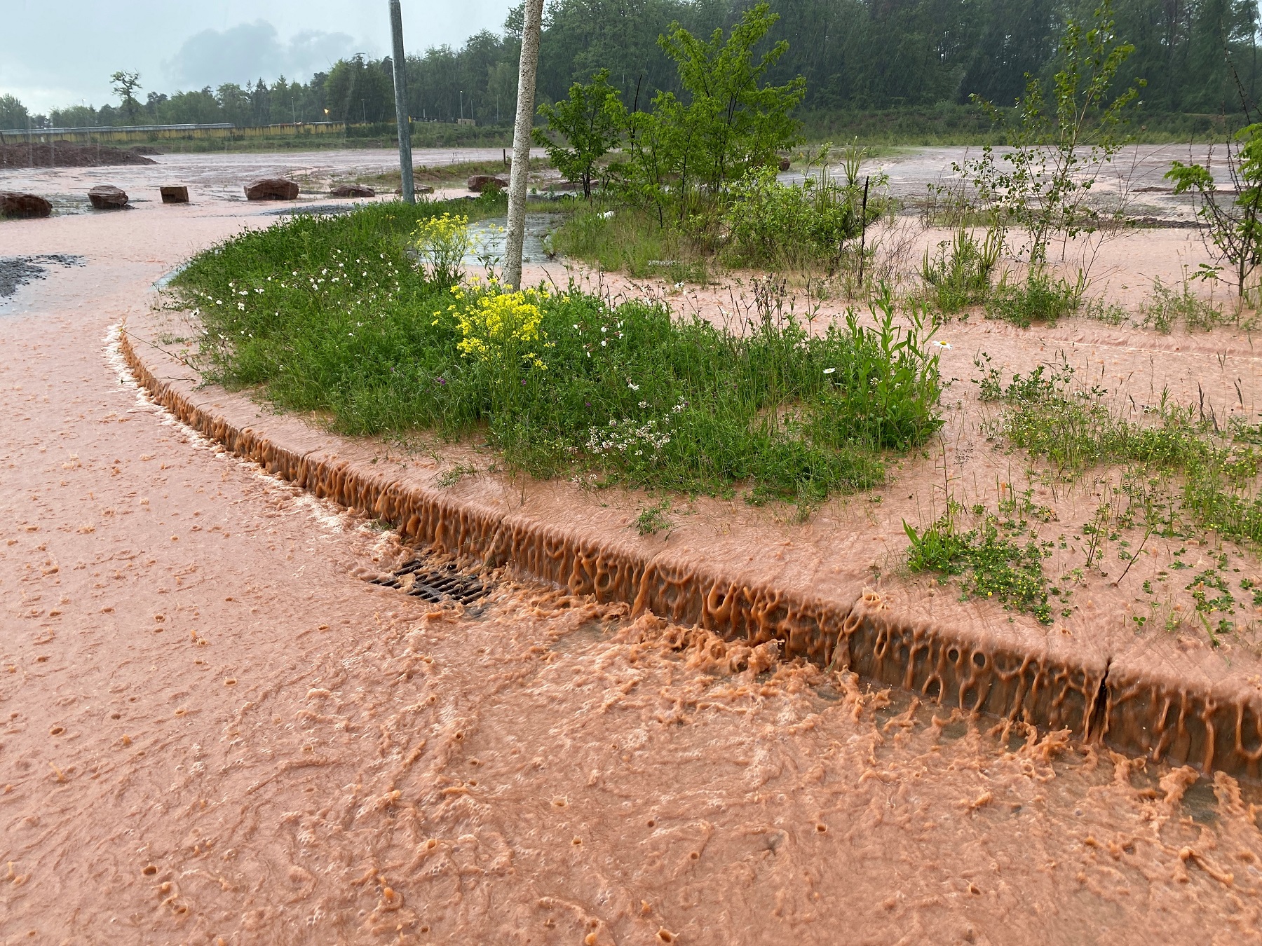 Starkregen: Überschwemmung in der Pfalz. Foto: Reiner Voß