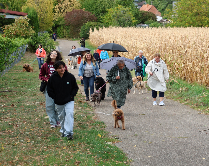 Rund 15 Hunde nebst Frauchen und Herrchen sind der Einladung nach Göcklingen zu "Himmel und Hund" gefolgt. Foto: Florian Riesterer