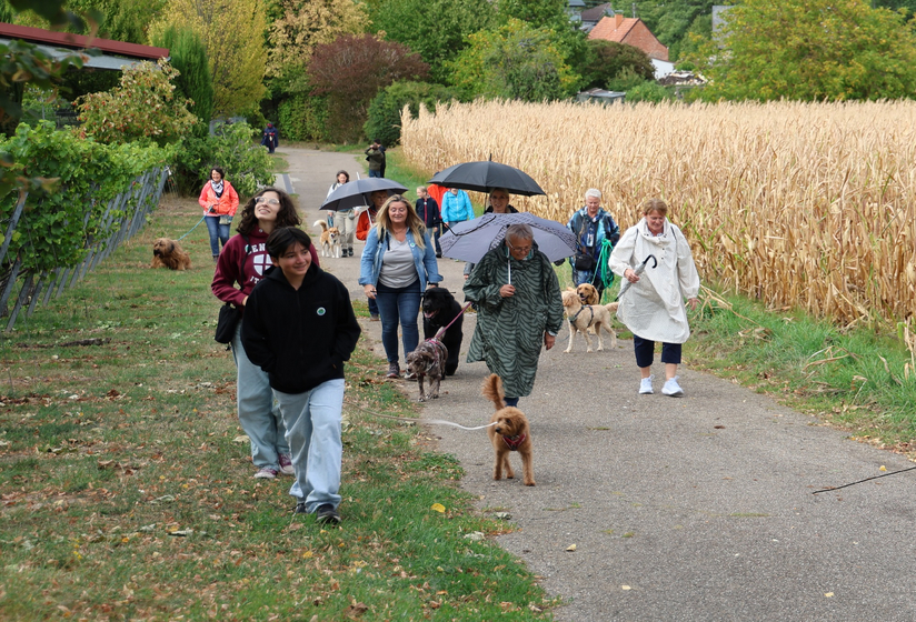 Rund 15 Hunde nebst Frauchen und Herrchen sind der Einladung nach Göcklingen zu "Himmel und Hund" gefolgt. Foto: Florian Riesterer